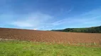 Foto 2 de Fazenda/Sítio com 4 Quartos à venda, 100m² em Zona Rural, Ouro Fino