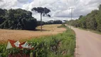 Foto 14 de Fazenda/Sítio com 1 Quarto à venda, 119000m² em Tietê, Araucária