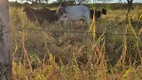 Foto 16 de Fazenda/Sítio à venda, 1230000m² em Centro, Jequitibá