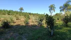 Foto 11 de Fazenda/Sítio com 3 Quartos à venda, 24200m² em Rio do Salto, Cascavel