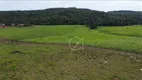 Foto 11 de Fazenda/Sítio à venda, 350m² em Zona Rural, Ponte Alta do Tocantins