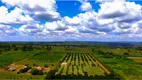 Foto 46 de Fazenda/Sítio com 4 Quartos à venda, 400m² em , Brasília