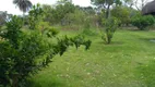 Foto 22 de Fazenda/Sítio com 4 Quartos à venda, 5000m² em Vila Ipê Amarelo, Contagem