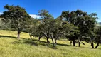 Foto 54 de Fazenda/Sítio com 3 Quartos à venda, 130000m² em Zona Rural, Paraisópolis