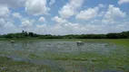 Foto 10 de Fazenda/Sítio com 3 Quartos à venda, 160000m² em Centro, Ceará Mirim