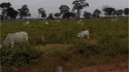 Foto 22 de Fazenda/Sítio à venda em Zona Rural, Pontes E Lacerda