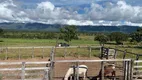 Foto 4 de Fazenda/Sítio à venda, 828m² em Rural, Paranã