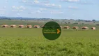 Foto 4 de Fazenda/Sítio à venda, 98929600m² em Zona Rural, Marília