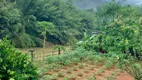 Foto 2 de Fazenda/Sítio à venda, 2000m² em Biriricas, Domingos Martins