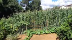 Foto 3 de Fazenda/Sítio com 2 Quartos à venda, 10000m² em Centro, São Gonçalo do Sapucaí