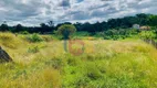 Foto 12 de Fazenda/Sítio com 5 Quartos à venda, 170000m² em Salobrinho, Ilhéus