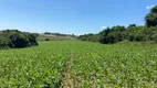 Foto 23 de Fazenda/Sítio com 1 Quarto à venda, 1m² em Area Rural de Sorocaba, Sorocaba