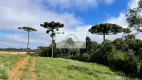 Foto 6 de Fazenda/Sítio com 1 Quarto à venda, 48000m² em Bateias de Baixo, Campo Alegre