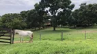 Foto 66 de Fazenda/Sítio com 3 Quartos à venda, 18m² em Setor Central, Petrolina de Goiás