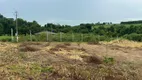 Foto 16 de Lote/Terreno à venda, 10000m² em , Paiçandu