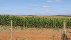 Foto 10 de Fazenda/Sítio com 2 Quartos à venda, 65m² em Zona Rural, Quadra