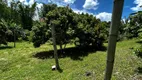 Foto 9 de Fazenda/Sítio com 4 Quartos à venda, 4000m² em Centro, São Lourenço da Serra