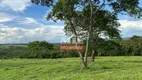 Foto 16 de Fazenda/Sítio à venda, 469m² em Zona Rural, Urutaí