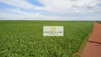 Foto 4 de Fazenda/Sítio com 3 Quartos à venda, 200m² em , Formoso do Araguaia