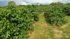 Foto 8 de Fazenda/Sítio com 3 Quartos à venda, 121000m² em Zona Rural, Monte Santo de Minas