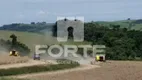 Foto 4 de Fazenda/Sítio com 4 Quartos à venda, 214m² em Sape, Tomazina