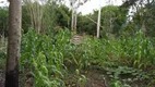 Foto 9 de Fazenda/Sítio com 2 Quartos à venda, 60m² em Cajurú, São José dos Campos