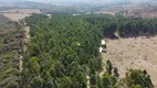 Foto 51 de Fazenda/Sítio com 3 Quartos à venda, 3010000m² em Campo Alegre, Esmeraldas