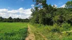 Foto 13 de Lote/Terreno à venda, 10m² em Campo Largo da Roseira, São José dos Pinhais