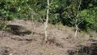 Foto 9 de Fazenda/Sítio com 2 Quartos à venda, 100000m² em Nova Petropolis, Nova Petrópolis