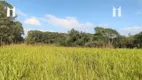 Foto 5 de Fazenda/Sítio com 1 Quarto à venda, 60m² em Bateias, Campo Largo