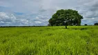 Foto 4 de Fazenda/Sítio à venda, 6135000m² em Zona Rural, Santo Antônio do Leverger