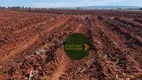 Foto 2 de Fazenda/Sítio à venda, 6050000m² em Zona Rural, Acreúna