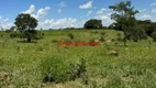 Foto 22 de Fazenda/Sítio com 3 Quartos à venda, 200m² em , Piracanjuba