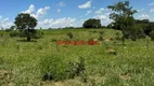 Foto 29 de Fazenda/Sítio com 3 Quartos à venda, 200m² em , Piracanjuba