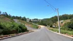 Foto 43 de Lote/Terreno à venda, 240m² em Fatima, Bento Gonçalves