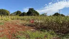 Foto 15 de Fazenda/Sítio com 2 Quartos à venda, 250m² em Parque Industrial Buena Vista, Londrina