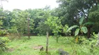 Foto 14 de Fazenda/Sítio com 3 Quartos à venda, 160m² em Area Rural de Porto Velho, Porto Velho