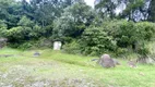 Foto 12 de Ponto Comercial com 5 Quartos para alugar, 280m² em Canasvieiras, Florianópolis