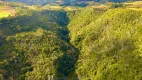 Foto 9 de Fazenda/Sítio com 5 Quartos à venda, 590000m² em , Alfredo Wagner