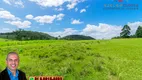 Foto 14 de Fazenda/Sítio à venda, 20000m² em Zona Rural, Parobé