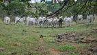 Foto 29 de Fazenda/Sítio com 3 Quartos à venda, 14000000m² em Area Rural de Caruaru, Caruaru