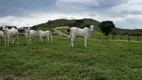 Foto 13 de Fazenda/Sítio com 6 Quartos à venda, 9490000m² em Zona Rural, Poços de Caldas