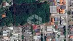 Foto 2 de Lote/Terreno à venda, 10000m² em Sao Virgilio, Caxias do Sul