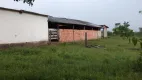 Foto 90 de Fazenda/Sítio com 4 Quartos à venda, 700m² em Zona Rural, Padre Bernardo