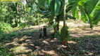 Foto 26 de Fazenda/Sítio com 2 Quartos à venda, 20000m² em Zona Rural, Bela Vista de Goiás