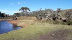 Foto 4 de Fazenda/Sítio à venda, 30000m² em Zona Rural, São Francisco de Paula