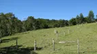 Foto 22 de Fazenda/Sítio com 4 Quartos à venda, 900000m² em Zona Rural, Natividade da Serra
