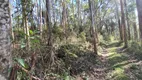 Foto 7 de Fazenda/Sítio à venda, 448000m² em Pedra Branca, Alfredo Wagner