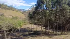 Foto 4 de Lote/Terreno com 1 Quarto à venda, 20000m² em , Gonçalves