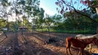 Foto 33 de Fazenda/Sítio com 3 Quartos à venda, 270m² em Loteamento Aracê de Santo Antonio II, São Carlos